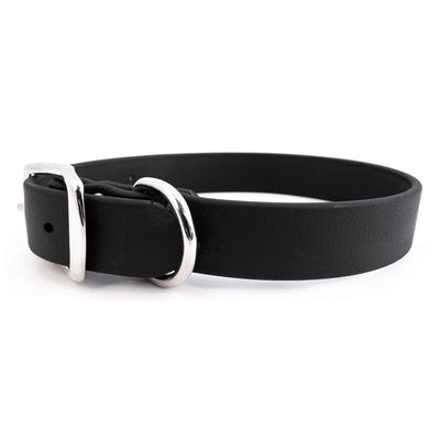 Rita Bean Waterproof Standard Buckle Dog Collar - Black