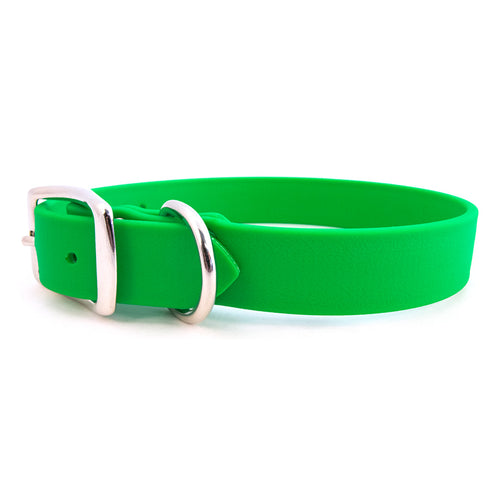 Rita Bean Waterproof Standard Buckle Dog Collar - Green
