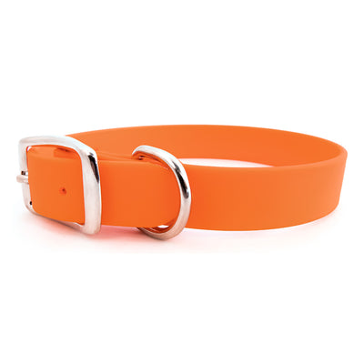 Rita Bean Waterproof Standard Buckle Dog Collar - Orange