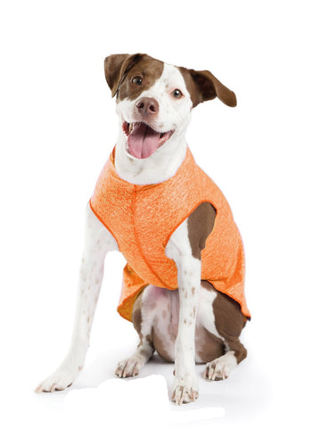 Sun Shield Dog Sun Protection T-shirt - Neon Orange