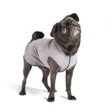 Sun Shield Dog Sun Protection T-shirt - Gray Heather