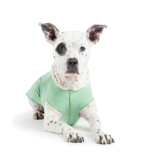 Sun Shield Dog Sun Protection T-shirt - Light Green Heather