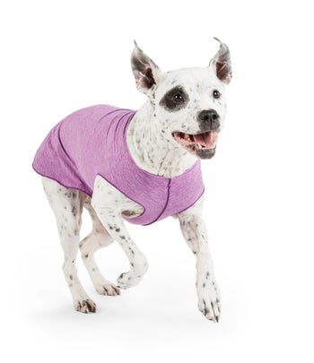 Sun Shield Dog Sun Protection T-shirt - Violet Heather