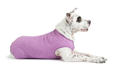 Dark pink sun shield dog t-shirt