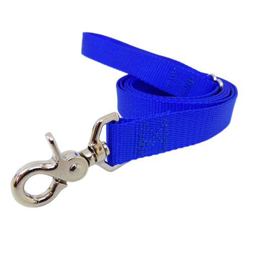 Rita Bean Dog Leash - Nylon Webbing (Royal Blue)