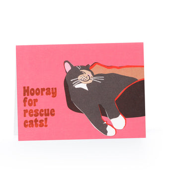Rescue Cat Blank Card