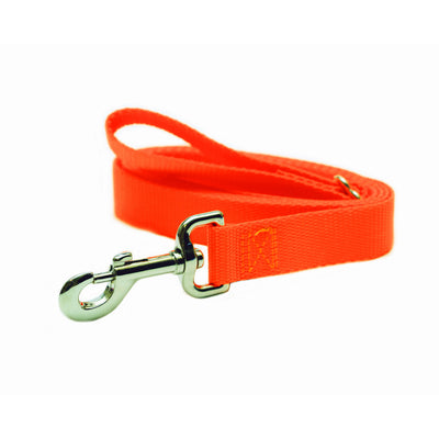 Rita Bean Dog Leash - Nylon Webbing (Neon Orange)