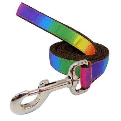 Rita Bean Dog Leash - Rainbow